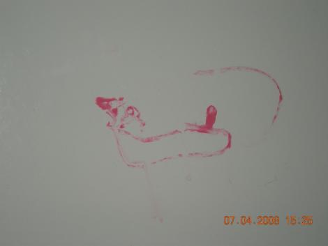 kaczka wg. Niki<a href="profile.php?lookup=97"> - joanna78</a><br/>
		         Komentarzy: 6
 Obejrzano:  43404 Ocena: <img src="images/star.gif" alt="*" style="vertical-align:middle"/><img src="images/star.gif" alt="*" style="vertical-align:middle"/><img src="images/star.gif" alt="*" style="vertical-align:middle"/><img src="images/star.gif" alt="*" style="vertical-align:middle"/>
