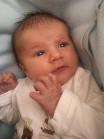 Nasz najwiekszy skarb!!!<a href="profile.php?lookup=19"> - pj_owie</a><br/>
		         Komentarzy: 0
 Obejrzano:  33331 Ocena: Brak
