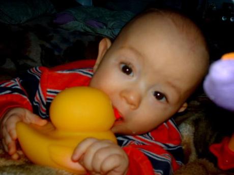 Kacperek<a href="profile.php?lookup=575"> - Sylwia83</a><br/>
		         Komentarzy: 1
 Obejrzano:  23753 Ocena: Brak
