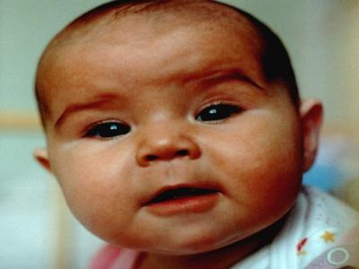 Nasze oczko w głowie!<a href="profile.php?lookup=1"> - piotr</a><br/>
		         Komentarzy: 3
 Obejrzano:  46906 Ocena: <img src="images/star.gif" alt="*" style="vertical-align:middle"/><img src="images/star.gif" alt="*" style="vertical-align:middle"/><img src="images/star.gif" alt="*" style="vertical-align:middle"/><img src="images/star.gif" alt="*" style="vertical-align:middle"/><img src="images/star.gif" alt="*" style="vertical-align:middle"/>
