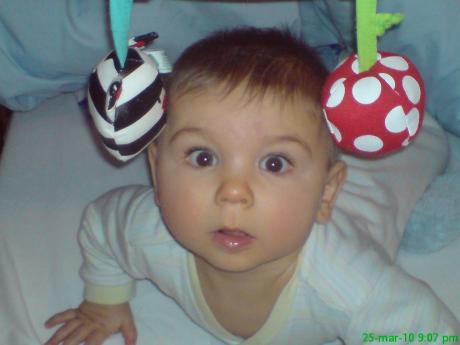 sebastian<a href="profile.php?lookup=534"> - dzidzia</a><br/>
		         Komentarzy: 2
 Obejrzano:  25414 Ocena: <img src="images/star.gif" alt="*" style="vertical-align:middle"/><img src="images/star.gif" alt="*" style="vertical-align:middle"/><img src="images/star.gif" alt="*" style="vertical-align:middle"/><img src="images/star.gif" alt="*" style="vertical-align:middle"/><img src="images/star.gif" alt="*" style="vertical-align:middle"/>
