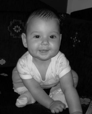 Martynka<a href="profile.php?lookup=33"> - tolek</a><br/>
		         Komentarzy: 1
 Obejrzano:  41061 Ocena: Brak
