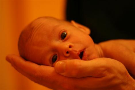 Jak mi dobrze<a href="profile.php?lookup=104"> - tobi2007</a><br/>
		         Komentarzy: 7
 Obejrzano:  42201 Ocena: <img src="images/star.gif" alt="*" style="vertical-align:middle"/><img src="images/star.gif" alt="*" style="vertical-align:middle"/><img src="images/star.gif" alt="*" style="vertical-align:middle"/><img src="images/star.gif" alt="*" style="vertical-align:middle"/><img src="images/star.gif" alt="*" style="vertical-align:middle"/>
