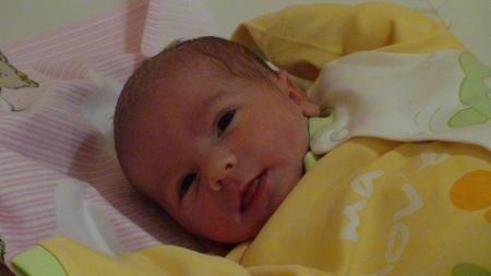 Maja1<a href="profile.php?lookup=44"> - Majeczka</a><br/>
		         Komentarzy: 1
 Obejrzano:  31642 Ocena: <img src="images/star.gif" alt="*" style="vertical-align:middle"/><img src="images/star.gif" alt="*" style="vertical-align:middle"/><img src="images/star.gif" alt="*" style="vertical-align:middle"/><img src="images/star.gif" alt="*" style="vertical-align:middle"/>
