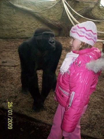 litość ;D<a href="profile.php?lookup=477"> - agulla222</a><br/>
		         Komentarzy: 1
 Obejrzano:  25664 Ocena: <img src="images/star.gif" alt="*" style="vertical-align:middle"/><img src="images/star.gif" alt="*" style="vertical-align:middle"/><img src="images/star.gif" alt="*" style="vertical-align:middle"/><img src="images/star.gif" alt="*" style="vertical-align:middle"/><img src="images/star.gif" alt="*" style="vertical-align:middle"/>
