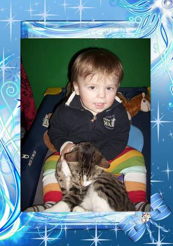 z kotkiem cioci Marzenki :)<a href="profile.php?lookup=352"> - senepa</a><br/>
		         Komentarzy: 0
 Obejrzano:  28865 Ocena: <img src="images/star.gif" alt="*" style="vertical-align:middle"/><img src="images/star.gif" alt="*" style="vertical-align:middle"/><img src="images/star.gif" alt="*" style="vertical-align:middle"/><img src="images/star.gif" alt="*" style="vertical-align:middle"/><img src="images/star.gif" alt="*" style="vertical-align:middle"/>
