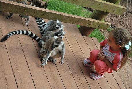 przedszkole ;))<a href="profile.php?lookup=240"> - maama</a><br/>
		         Komentarzy: 1
 Obejrzano:  25424 Ocena: Brak
