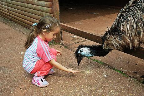 ...<a href="profile.php?lookup=240"> - maama</a><br/>
		         Komentarzy: 0
 Obejrzano:  21622 Ocena: Brak
