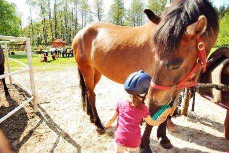 mała koniara :)<a href="profile.php?lookup=240"> - maama</a><br/>
		         Komentarzy: 2
 Obejrzano:  26605 Ocena: Brak
