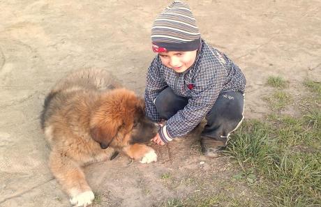 Mmmm... chyba nie zje<a href="profile.php?lookup=387"> - regisia8</a><br/>
		         Komentarzy: 0
 Obejrzano:  23820 Ocena: Brak
