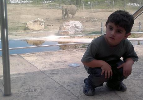 No i kto jest większy!?<a href="profile.php?lookup=387"> - regisia8</a><br/>
		         Komentarzy: 0
 Obejrzano:  25752 Ocena: Brak
