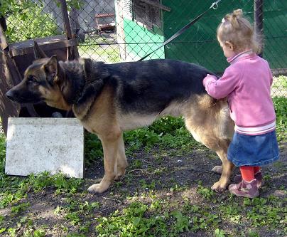 Martynka i jej piesek<a href="profile.php?lookup=94"> - MamaMartynki</a><br/>
		         Komentarzy: 0
 Obejrzano:  29202 Ocena: Brak
