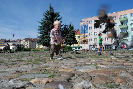 ptaszki<a href="profile.php?lookup=506"> - seba</a><br/>
		         Komentarzy: 0
 Obejrzano:  25411 Ocena: Brak
