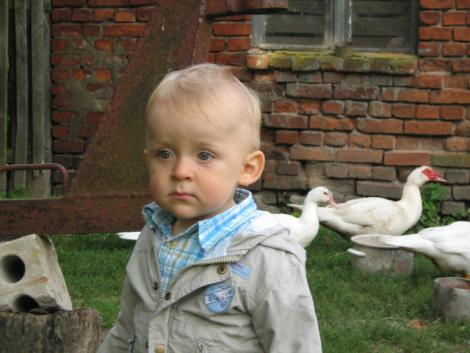 Na wsi u cioci<a href="profile.php?lookup=111"> - SzczesliwaMamusia</a><br/>
		         Komentarzy: 1
 Obejrzano:  32034 Ocena: Brak
