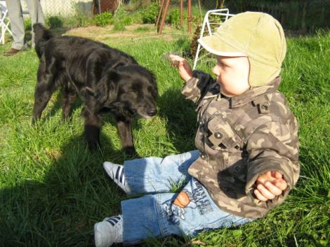 Piesek babci<a href="profile.php?lookup=111"> - SzczesliwaMamusia</a><br/>
		         Komentarzy: 0
 Obejrzano:  33273 Ocena: Brak
