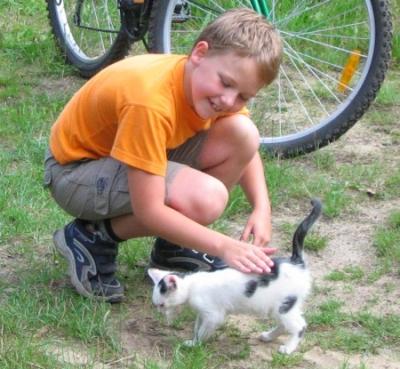 Dzieci i kotki 2<a href="profile.php?lookup=1"> - piotr</a><br/>
		         Komentarzy: 1
 Obejrzano:  43520 Ocena: <img src="images/star.gif" alt="*" style="vertical-align:middle"/><img src="images/star.gif" alt="*" style="vertical-align:middle"/><img src="images/star.gif" alt="*" style="vertical-align:middle"/><img src="images/star.gif" alt="*" style="vertical-align:middle"/><img src="images/star.gif" alt="*" style="vertical-align:middle"/>
