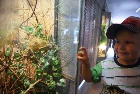 Aleks w Zoo<a href="profile.php?lookup=213"> - Aleks</a><br/>
		         Komentarzy: 0
 Obejrzano:  25651 Ocena: Brak
