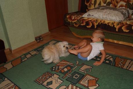 Zabawa z Pieskiem<a href="profile.php?lookup=213"> - Aleks</a><br/>
		         Komentarzy: 0
 Obejrzano:  24215 Ocena: Brak
