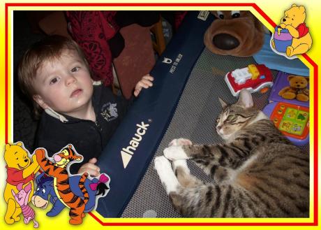 z kotkiem mojej cioci<a href="profile.php?lookup=352"> - senepa</a><br/>
		         Komentarzy: 1
 Obejrzano:  24933 Ocena: <img src="images/star.gif" alt="*" style="vertical-align:middle"/><img src="images/star.gif" alt="*" style="vertical-align:middle"/><img src="images/star.gif" alt="*" style="vertical-align:middle"/><img src="images/star.gif" alt="*" style="vertical-align:middle"/><img src="images/star.gif" alt="*" style="vertical-align:middle"/>
