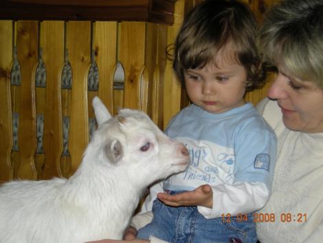 Nika<a href="profile.php?lookup=97"> - joanna78</a><br/>
		         Komentarzy: 2
 Obejrzano:  33657 Ocena: Brak
