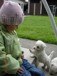 nika i przyjaciel pies<a href="profile.php?lookup=97"> - joanna78</a><br/>
		         Komentarzy: 2
 Obejrzano:  30792 Ocena: Brak
