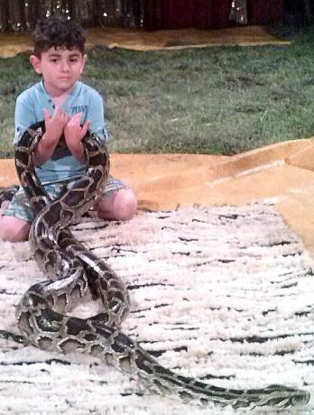 uwielbia zwierzaki<a href="profile.php?lookup=387"> - regisia8</a><br/>
		         Komentarzy: 1
 Obejrzano:  25972 Ocena: Brak
