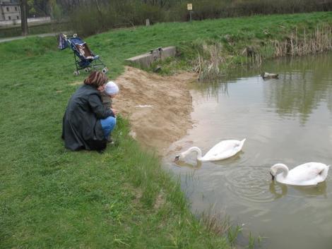 Nika i łabędzie<a href="profile.php?lookup=97"> - joanna78</a><br/>
		         Komentarzy: 0
 Obejrzano:  30104 Ocena: Brak
