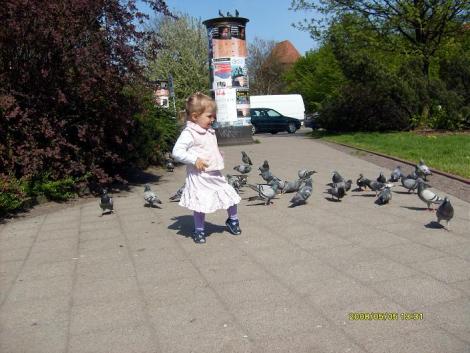 Martynka<a href="profile.php?lookup=124"> - MamaMartynki2005</a><br/>
		         Komentarzy: 0
 Obejrzano:  32619 Ocena: Brak
