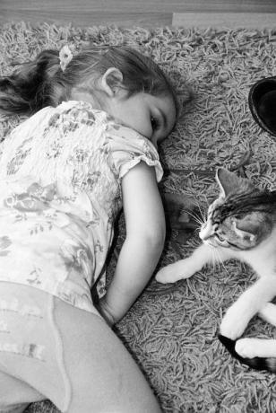 i po zabawie...<a href="profile.php?lookup=240"> - maama</a><br/>
		         Komentarzy: 0
 Obejrzano:  28298 Ocena: Brak
