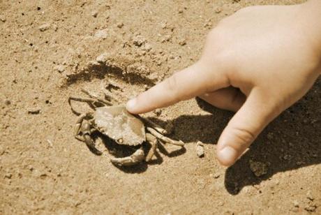 maly slodki ;)<a href="profile.php?lookup=240"> - maama</a><br/>
		         Komentarzy: 0
 Obejrzano:  25621 Ocena: Brak
