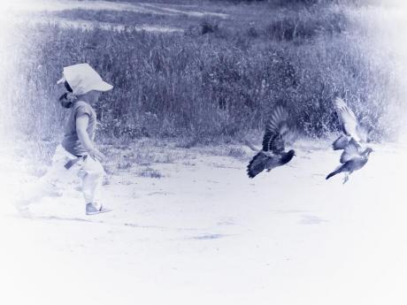 kto pierwszy...<a href="profile.php?lookup=240"> - maama</a><br/>
		         Komentarzy: 2
 Obejrzano:  27809 Ocena: <img src="images/star.gif" alt="*" style="vertical-align:middle"/><img src="images/star.gif" alt="*" style="vertical-align:middle"/><img src="images/star.gif" alt="*" style="vertical-align:middle"/><img src="images/star.gif" alt="*" style="vertical-align:middle"/><img src="images/star.gif" alt="*" style="vertical-align:middle"/>
