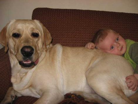 odpoczynek na tadeuszu<a href="profile.php?lookup=145"> - borys gawalkiewicz</a><br/>
		         Komentarzy: 0
 Obejrzano:  28349 Ocena: <img src="images/star.gif" alt="*" style="vertical-align:middle"/><img src="images/star.gif" alt="*" style="vertical-align:middle"/><img src="images/star.gif" alt="*" style="vertical-align:middle"/><img src="images/star.gif" alt="*" style="vertical-align:middle"/>
