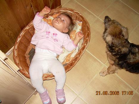 Amelka z Tosia<a href="profile.php?lookup=120"> - Agnieszka_al</a><br/>
		         Komentarzy: 1
 Obejrzano:  35489 Ocena: Brak
