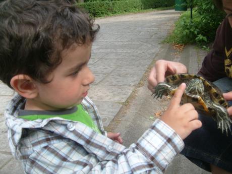 W ZOO<a href="profile.php?lookup=387"> - regisia8</a><br/>
		         Komentarzy: 3
 Obejrzano:  26521 Ocena: <img src="images/star.gif" alt="*" style="vertical-align:middle"/><img src="images/star.gif" alt="*" style="vertical-align:middle"/><img src="images/star.gif" alt="*" style="vertical-align:middle"/><img src="images/star.gif" alt="*" style="vertical-align:middle"/><img src="images/star.gif" alt="*" style="vertical-align:middle"/>
