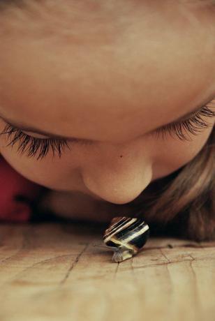 mała przyrodniczka<a href="profile.php?lookup=240"> - maama</a><br/>
		         Komentarzy: 1
 Obejrzano:  24362 Ocena: Brak
