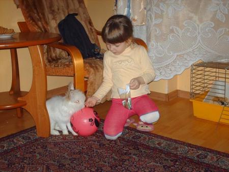 Weronisia i jej króliczek<a href="profile.php?lookup=58"> - monia</a><br/>
		         Komentarzy: 0
 Obejrzano:  34796 Ocena: Brak
