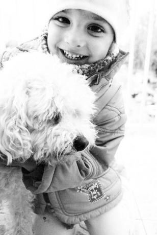 oprawczyni i biedny zwierz :)<a href="profile.php?lookup=240"> - maama</a><br/>
		         Komentarzy: 1
 Obejrzano:  26067 Ocena: Brak
