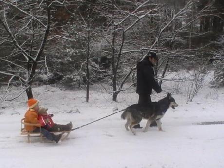 spacer<a href="profile.php?lookup=387"> - regisia8</a><br/>
		         Komentarzy: 0
 Obejrzano:  24760 Ocena: Brak
