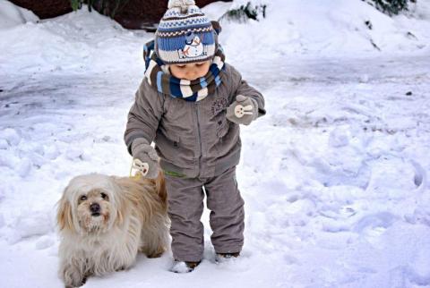 Zima<a href="profile.php?lookup=213"> - Aleks</a><br/>
		         Komentarzy: 1
 Obejrzano:  31216 Ocena: <img src="images/star.gif" alt="*" style="vertical-align:middle"/><img src="images/star.gif" alt="*" style="vertical-align:middle"/><img src="images/star.gif" alt="*" style="vertical-align:middle"/><img src="images/star.gif" alt="*" style="vertical-align:middle"/><img src="images/star.gif" alt="*" style="vertical-align:middle"/>
