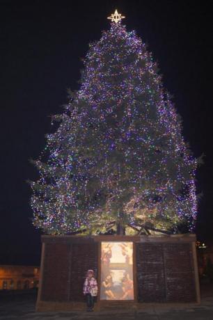 z choineczką...<a href="profile.php?lookup=97"> - joanna78</a><br/>
		         Komentarzy: 0
 Obejrzano:  19098 Ocena: Brak
