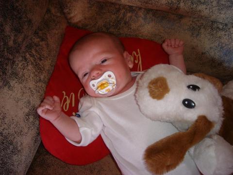 pilnuj mnie!<a href="profile.php?lookup=352"> - senepa</a><br/>
		         Komentarzy: 0
 Obejrzano:  31052 Ocena: Brak
