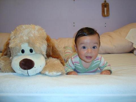 Alanek<a href="profile.php?lookup=216"> - aneczkakorcz</a><br/>
		         Komentarzy: 0
 Obejrzano:  35008 Ocena: <img src="images/star.gif" alt="*" style="vertical-align:middle"/><img src="images/star.gif" alt="*" style="vertical-align:middle"/><img src="images/star.gif" alt="*" style="vertical-align:middle"/><img src="images/star.gif" alt="*" style="vertical-align:middle"/>
