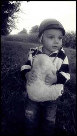 Miś.<a href="profile.php?lookup=839"> - Paulina90a</a><br/>
		         Komentarzy: 0
 Obejrzano:  27843 Ocena: Brak
