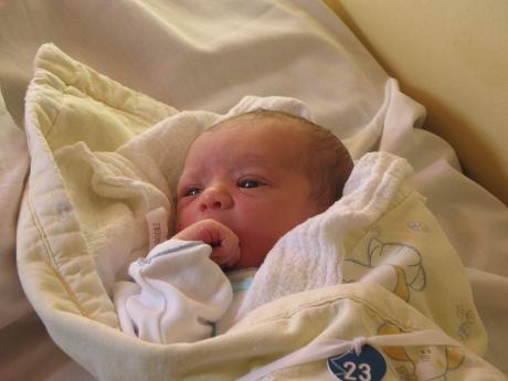 Sara<a href="profile.php?lookup=845"> - olus5</a><br/>
		         Komentarzy: 0
 Obejrzano:  27760 Ocena: Brak
