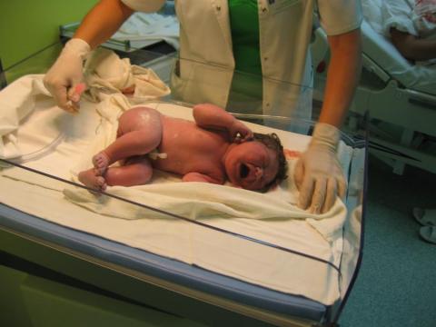 Julcia<a href="profile.php?lookup=282"> - anulka0072</a><br/>
		         Komentarzy: 1
 Obejrzano:  29162 Ocena: Brak
