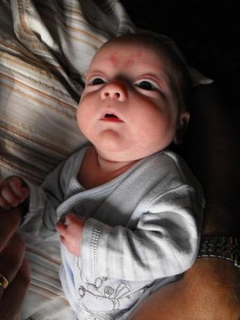 Jeremiasz<a href="profile.php?lookup=558"> - rasa6</a><br/>
		         Komentarzy: 5
 Obejrzano:  34408 Ocena: <img src="images/star.gif" alt="*" style="vertical-align:middle"/><img src="images/star.gif" alt="*" style="vertical-align:middle"/><img src="images/star.gif" alt="*" style="vertical-align:middle"/><img src="images/star.gif" alt="*" style="vertical-align:middle"/><img src="images/star.gif" alt="*" style="vertical-align:middle"/>
