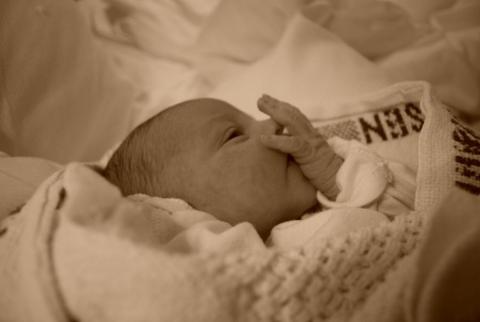 Natalka<a href="profile.php?lookup=337"> - krekorka</a><br/>
		         Komentarzy: 0
 Obejrzano:  28759 Ocena: Brak
