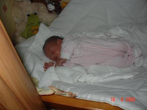 Spij Kochanie Spij<a href="profile.php?lookup=120"> - Agnieszka_al</a><br/>
		         Komentarzy: 1
 Obejrzano:  32904 Ocena: <img src="images/star.gif" alt="*" style="vertical-align:middle"/><img src="images/star.gif" alt="*" style="vertical-align:middle"/><img src="images/star.gif" alt="*" style="vertical-align:middle"/><img src="images/star.gif" alt="*" style="vertical-align:middle"/>
