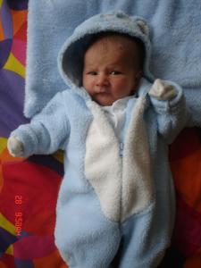 Caly Nasz Swiat<a href="profile.php?lookup=19"> - pj_owie</a><br/>
		         Komentarzy: 1
 Obejrzano:  45671 Ocena: <img src="images/star.gif" alt="*" style="vertical-align:middle"/><img src="images/star.gif" alt="*" style="vertical-align:middle"/><img src="images/star.gif" alt="*" style="vertical-align:middle"/><img src="images/star.gif" alt="*" style="vertical-align:middle"/><img src="images/star.gif" alt="*" style="vertical-align:middle"/>
