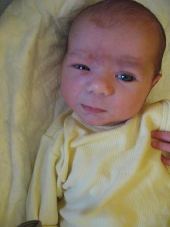 Sara<a href="profile.php?lookup=845"> - olus5</a><br/>
		         Komentarzy: 0
 Obejrzano:  21322 Ocena: Brak
